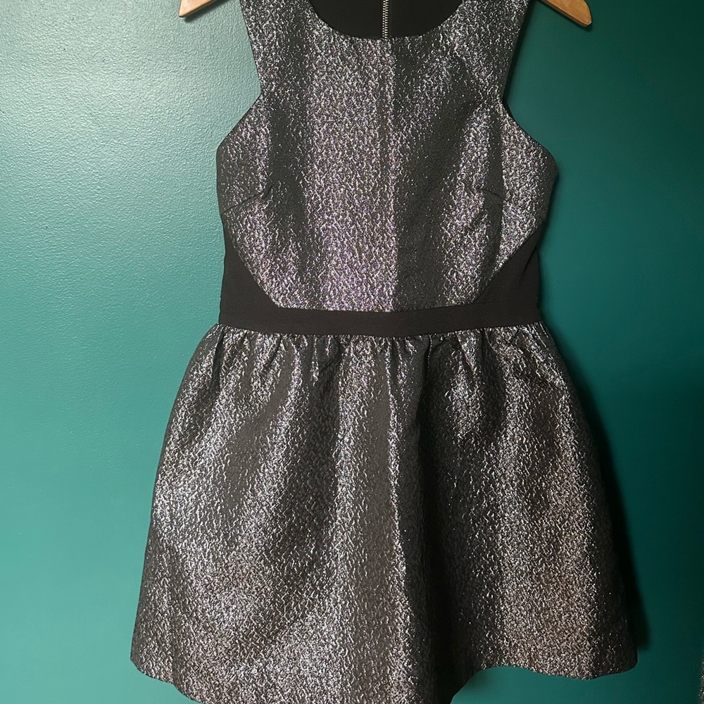 Lucy Paris Black and Silver Textured Dress